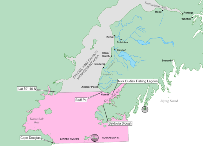 King Salmon Restrictions in Cook Inlet Salt Waters